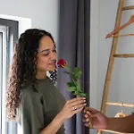 Holy Dove