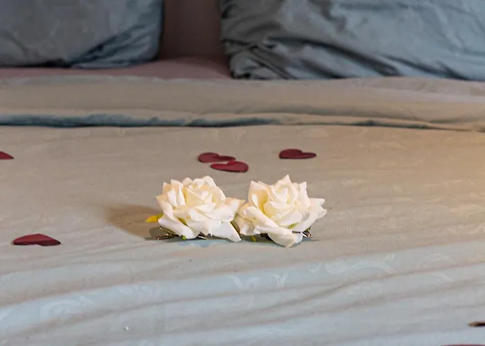 Holy Dove Bed and breakfast Ámsterdam