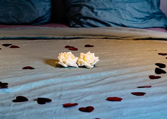 Holy Dove Bed and breakfast
