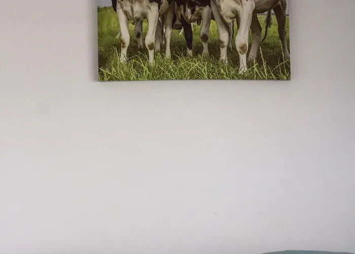 Holy Dove Bed and breakfast