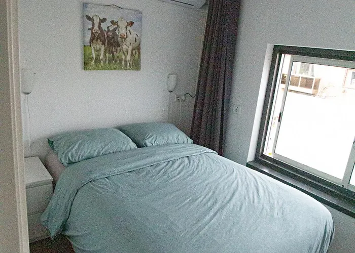 Holy Dove Ámsterdam