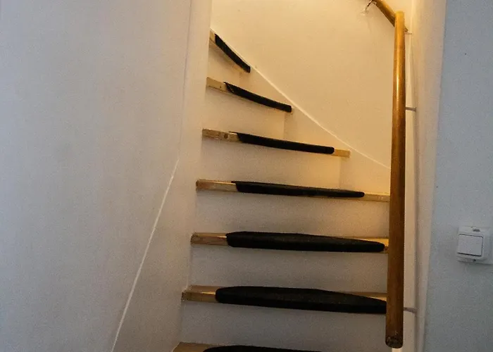 Holy Dove Ámsterdam