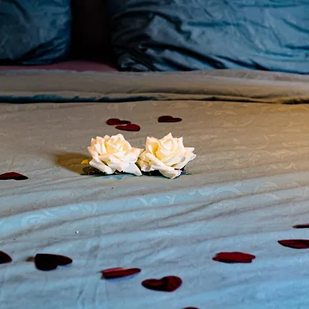 Holy Dove Bed & Breakfast