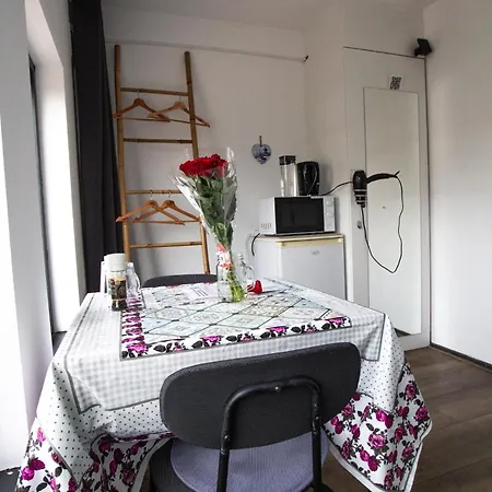 Holy Dove Bed and Breakfast Άμστερνταμ