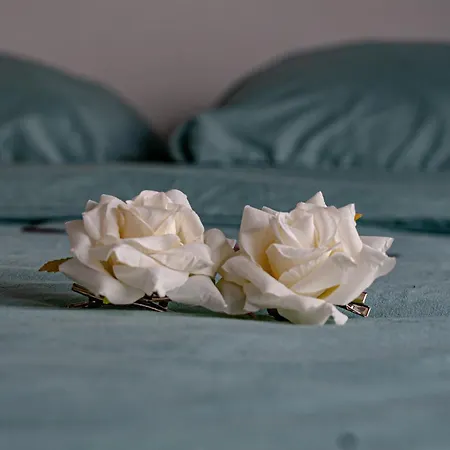 Holy Dove Bed and Breakfast Άμστερνταμ